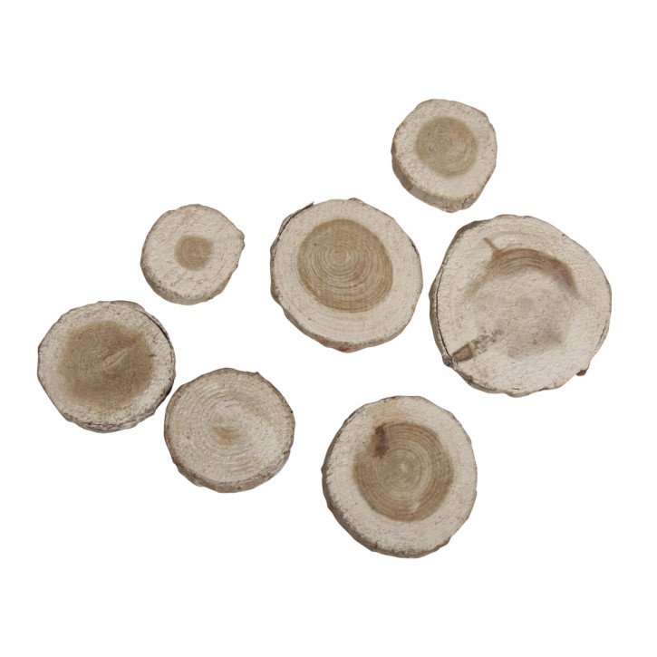 Pinien-Scheiben rund Größe: 3cm-5cm, SB-Btl 100g