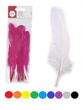 Gänsefeder, 16-20 cm, SB-Btl 8 Stück