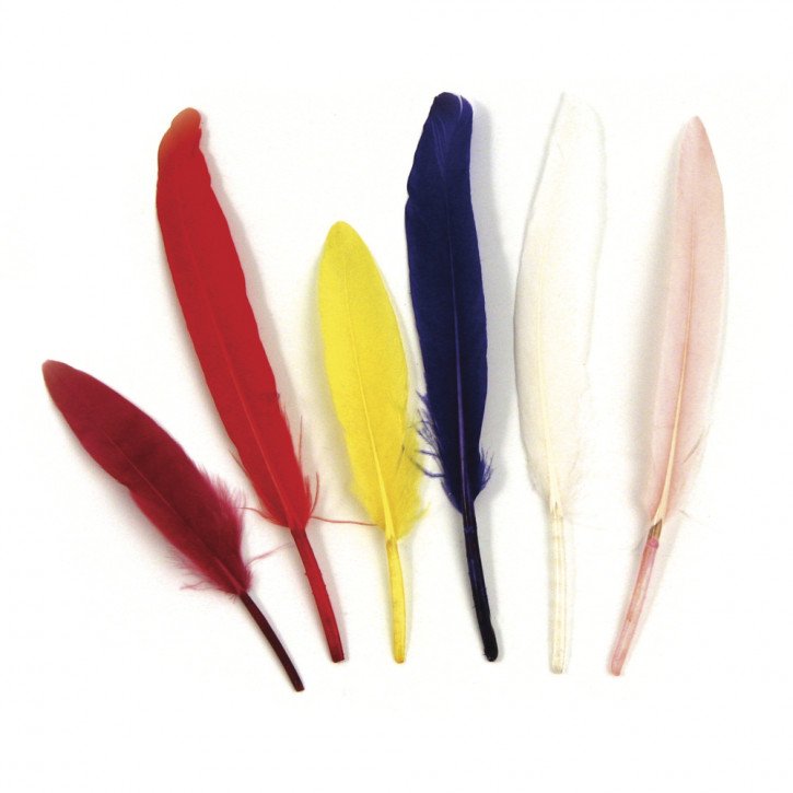 Indianerfeder 10,5 cm, SB-Btl. 24 Stück, gemischt