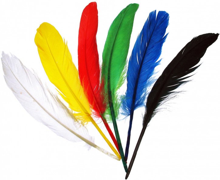 Indianerfeder 27-30 cm, SB-Btl. 12 Stück, gemischt