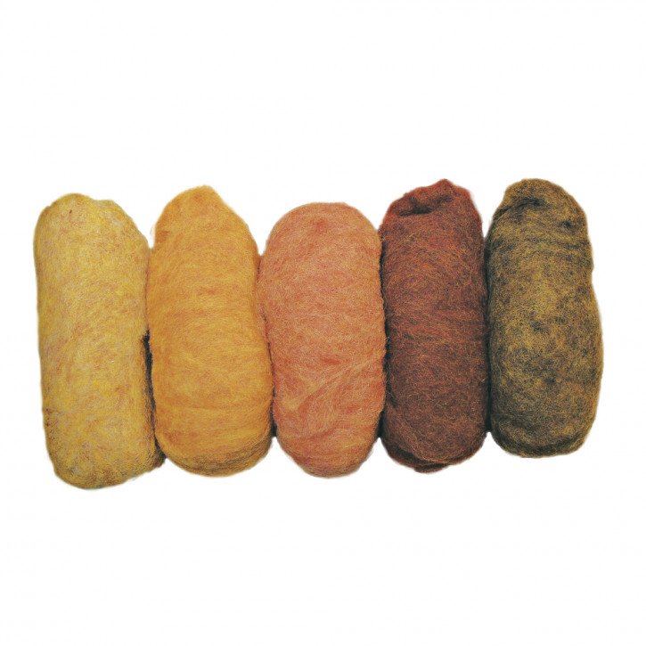 Reine Schurwolle Vlies, 5 Farben à 20g, Beutel 100g, Herbstmix